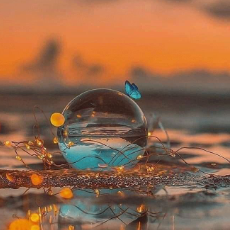 Muzi Ndlovu-Freelancer in Plumtree,Zimbabwe