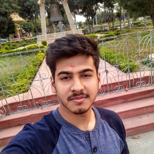 Abhishek Pandey-Freelancer in New Delhi,India