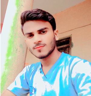 RAJA KUMAR-Freelancer in Borni Gorgawan,India