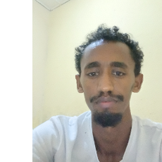 Baye Tsegaye-Freelancer in Bahir Dar,Ethiopia