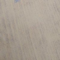 Kritika Gusain-Freelancer in Dehradun,India