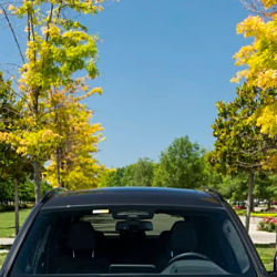 Caleb Cheruiyot-Freelancer in Nairobi,Kenya