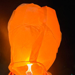 Rutuja Kad-Freelancer in Pune,India