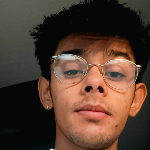 Rudrapratap Sinh-Freelancer in Modasa,India