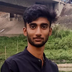 Asif Biswas-Freelancer in Karimpur,India