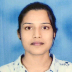 N K Dev-Freelancer in Bengaluru,India