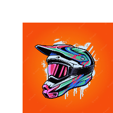 Truelancer profile picture for @santacruz