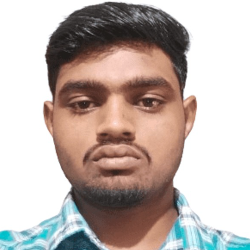 Manish thiroda-Freelancer in nagour rajasthan,India