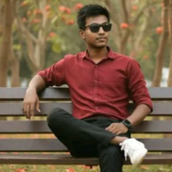 Rokibul Islam-Freelancer in Chuadanga,Bangladesh