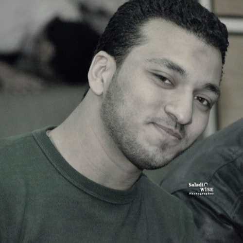 Medhat Elshamy-Freelancer in ,Egypt