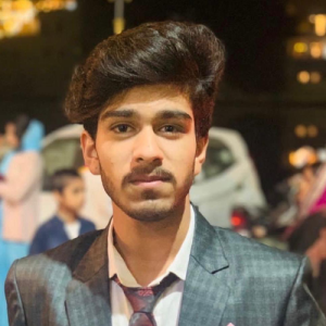 Neelesh Solanki-Freelancer in Udaipur,India