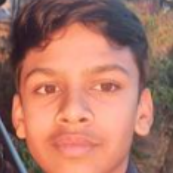 Puneet Kumar-Freelancer in Udaipur,India