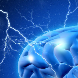 Akshay Pandey-Freelancer in Saran Division,India