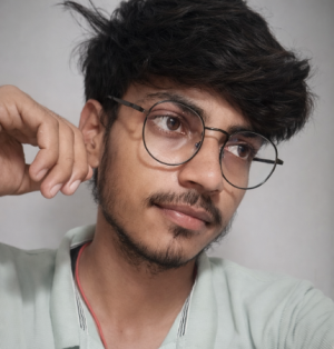 Ritesh Kumar-Freelancer in Gaya,India