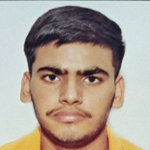 Deepak Kainthola-Freelancer in Kalka,India