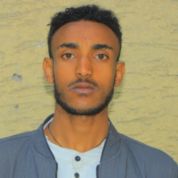 Alemnew Gelagay-Freelancer in Addis Ababa,Ethiopia