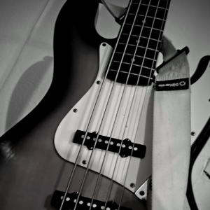 Valeria Valladares-Freelancer in La Plata,Argentina