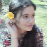 Chhavi Kashyap-Freelancer in Meerut Division,India