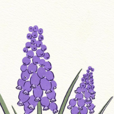 Kelum Shri-viduranga-Freelancer in Badulla,Sri Lanka