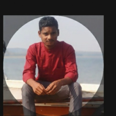 Adil Sek-Freelancer in Solapur,India