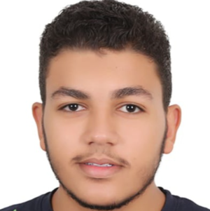 Yuossof Ashraf-Freelancer in Al Fayyum,Egypt