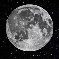 Palak Thakur-Freelancer in Garhwal Division,India