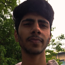 Mayank-Freelancer in Dharuhera,India