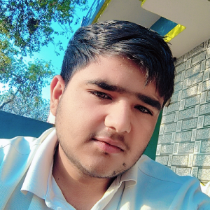 Harsh Gahlawat-Freelancer in REWARI,India