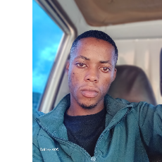 Mayenziwe Vilane-Freelancer in Mbangweni,Swaziland
