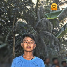 Partha Rajbongshi-Freelancer in Nalbari,India
