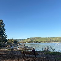 Nilu Chauhan-Freelancer in Ambala Cantt,India