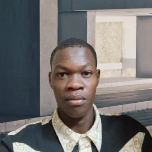 DEMBEGA-Freelancer in Bobo-Dioulasso,Burkina Faso