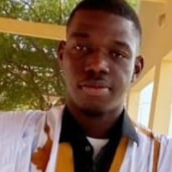 Vadel Ndiaye-Freelancer in Nouakchott,Mauritania