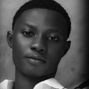 Elijah Developer-Freelancer in Lagos,Nigeria