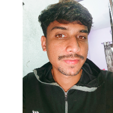 Harsh Ghube-Freelancer in Nagpur,India