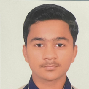 Ankit Mali-Freelancer in Mehsana,India