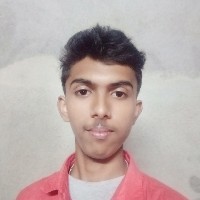 Rudra Thakur-Freelancer in Burdwan Division,India