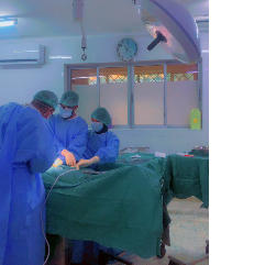 Shamhad Isak-Freelancer in Garissa,Kenya