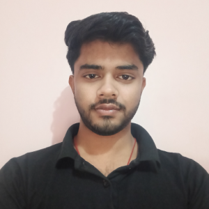Raunak Kumar-Freelancer in Bhopal,India