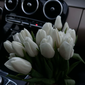 Hanshi-Freelancer in Vizianagaram,India