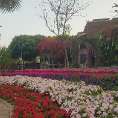 Madiha Mirza-Freelancer in Lahore,Pakistan