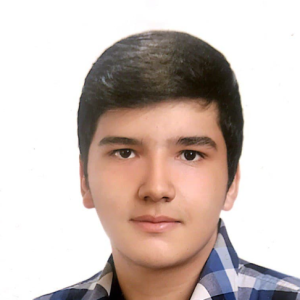 Mahdi Samadani-Freelancer in Çankaya,Turkey