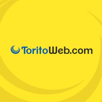 Torito Web-Freelancer in Lima,Peru