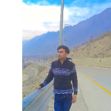 Arman Khan-Freelancer in शमशाबाद गाँव,India