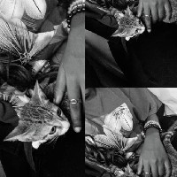 Olatimilehin Temiloluwa Fiyinfoluwa-Freelancer in Abeokuta,Nigeria