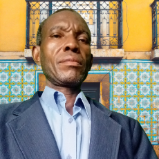 Onu Amodu-Freelancer in Ijoko,Nigeria