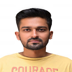 Hamza Malik-Freelancer in Gujranwala,Pakistan