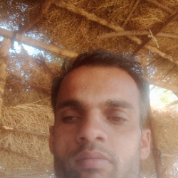 Historica 3450-Freelancer in Varanpuri,India