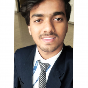 Vinay B.s-Freelancer in punjab,India