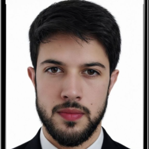 Bilal jabbar-Freelancer in Warpora Pattan,India